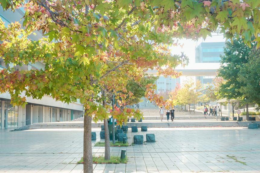 Nhat Ban dep mo mang thoi khac chuyen mua sang thu 18